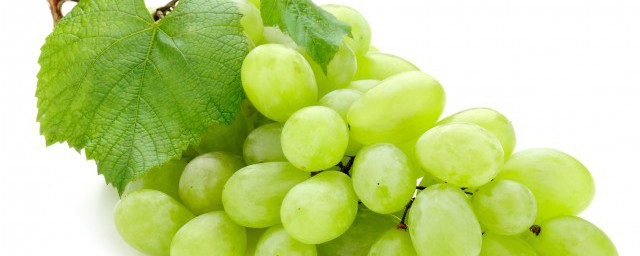 葡萄什麼時候成熟 葡萄怎麼種植