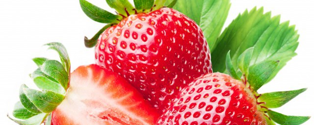 草莓剪枝方法 草莓剪枝步驟