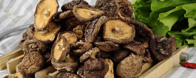 菇類幹貨怎麼保存 幹蘑菇怎麼保存