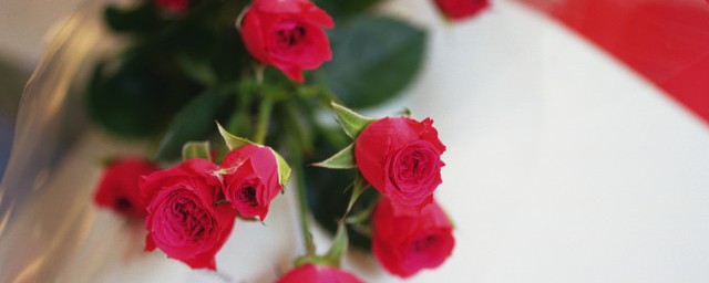 玫瑰花怎麼保存方法 玫瑰花保存方法
