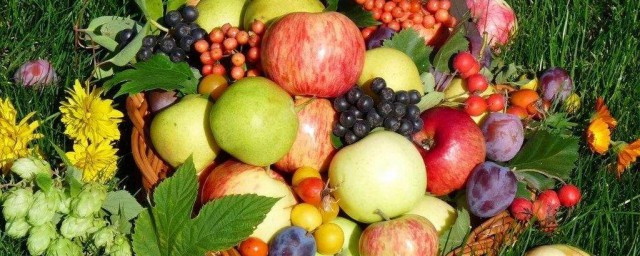 吃什麼水果對胃好 養胃的水果介紹