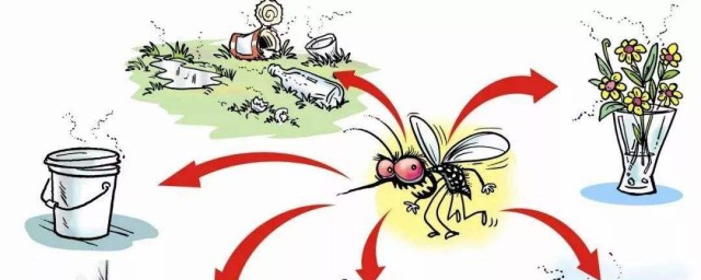 蚊子怎麼繁殖 蚊子是怎麼繁殖的