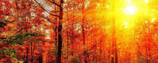 秋天的成語有哪些 關於秋天的成語有哪些