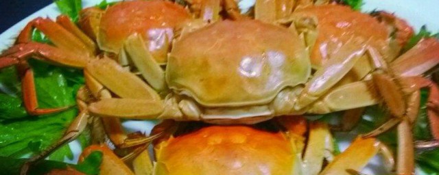 紅螃蟹有什麼特點 紅螃蟹的特點簡述