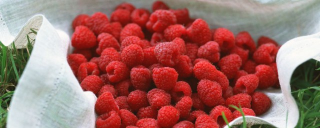 大量樹莓儲存方法 可以冷藏嗎