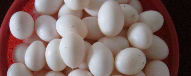 墨魚蛋清洗方法 墨魚蛋清洗方法簡述