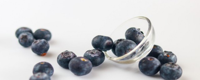 藍莓生根的方法 藍莓生根的方法介紹