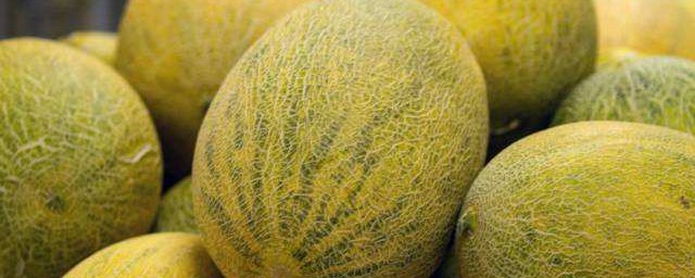 哈密瓜怎麼保存最久 哈密瓜保存最久的方法介紹