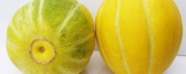 種東北香瓜的方法 香瓜的種植方法