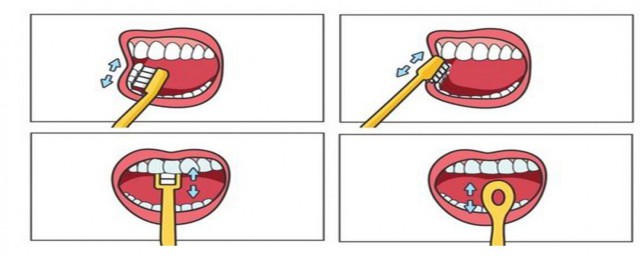 怎麼刷牙 如何刷牙