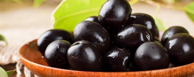 黑橄欖種植方法 黑橄欖怎樣種植