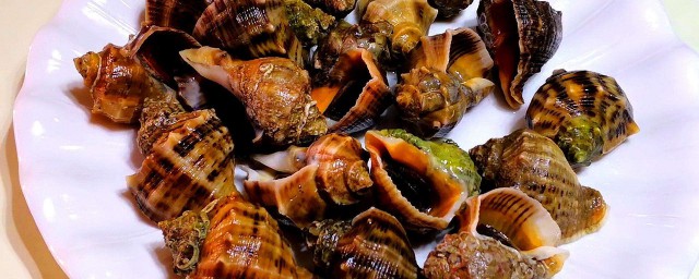 海螺需要煮多長時間 煮海螺方法