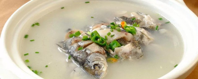 鯽魚湯怎樣做減肥 瘦身鯽魚湯的做法