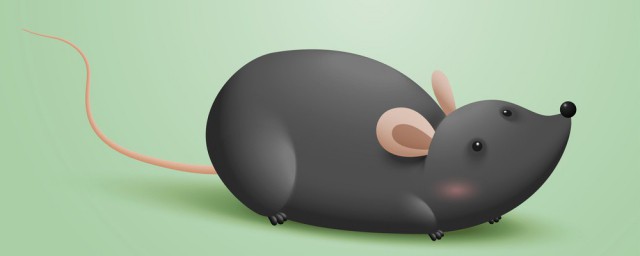防鼠的最好方法 傢裡怎麼預防老鼠