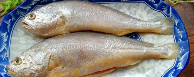 海裡黃花魚如何做 煎黃花魚好吃的做法