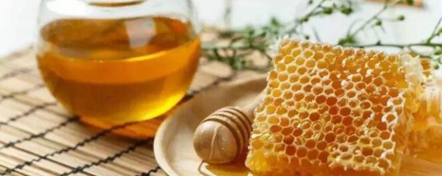 蜂蜜怎麼樣取蜜 怎麼正確取蜂蜜