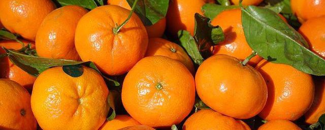 橘子皮除臭方法 如何去除臭味