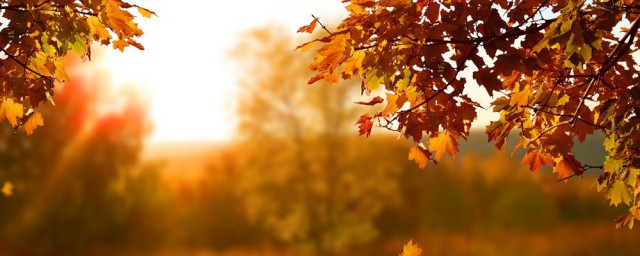 描寫秋天的好句子摘抄 秋高氣爽天涼好個秋