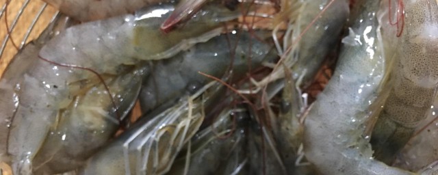 新鮮蝦冷凍怎麼處理 新鮮蝦如何冷凍