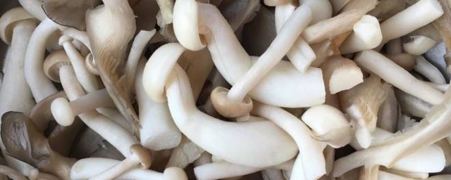 菌菇的曬制方法 一種菌菇晾曬架的制作方法