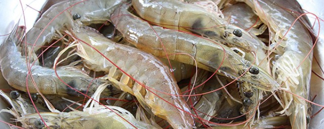 草蝦頭怎麼處理 本文教你如何處理蝦頭