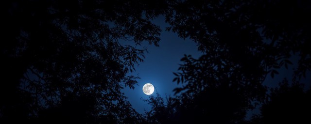 描寫月光的優美句子 月光像一曲扣人心弦的旋律