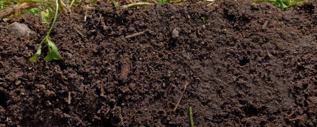 泥土保濕方法 泥土保濕方法是什麼
