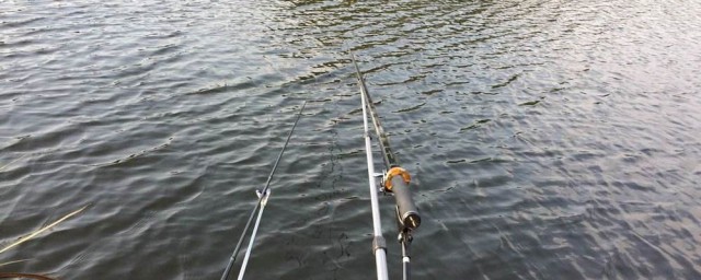 魚上鉤瞭釣魚人會怎樣做 魚上鉤瞭釣魚人操作的方法