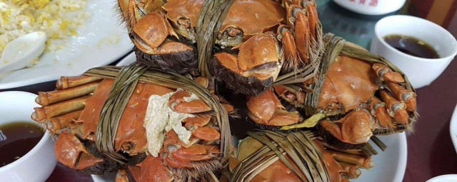 螃蟹吃什麼食物 螃蟹吃什麼食物好養活