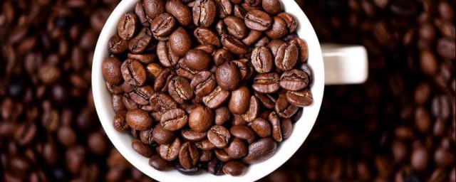 咖啡豆選購技巧 怎麼選擇咖啡豆