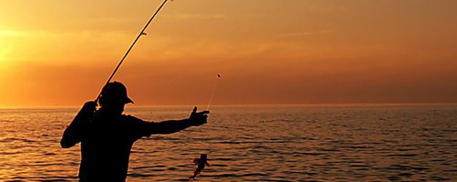 秋季末釣魚技巧 如何釣魚最快讓魚上鉤