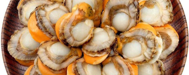 扇貝肉怎麼保存 扇貝肉如何保存