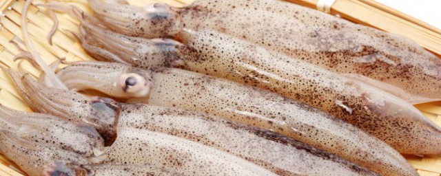 炒魷魚幹如何做 炒魷魚幹的做法