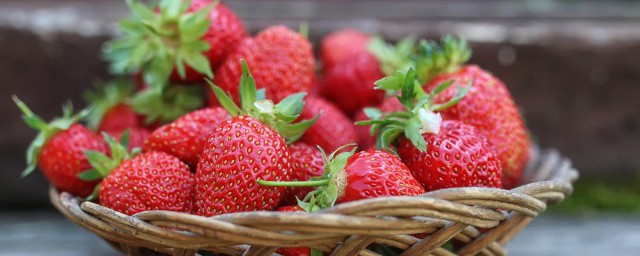 草莓苗什麼時候種 草莓怎麼種植
