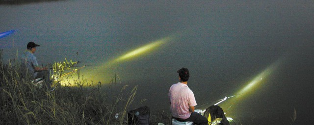 夜釣大頭魚的技巧 夜釣大頭魚的方法