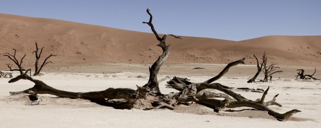 沙漠的環境是惡劣的可以用什麼詞語來形容 形容沙漠的環境是惡劣的詞語有哪些