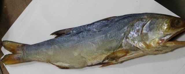 醃制幹海魚怎麼做 醃制幹海魚有什麼步驟
