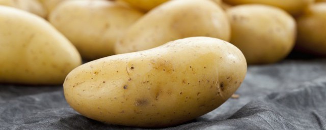 北方土豆什麼時候種植 土豆怎麼種