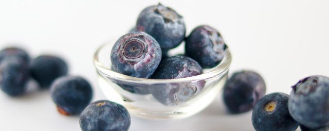 藍莓什麼時候種植最好 藍莓怎麼種植及註意事項