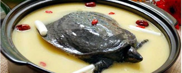 清燉甲魚湯怎麼做 清燉甲魚湯的傢常做法