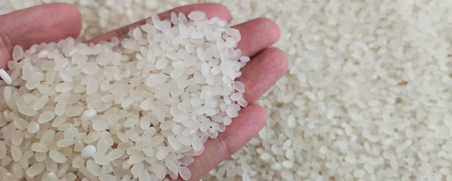 米怎麼樣保存才不生蟲 米保存才不生蟲方法介紹