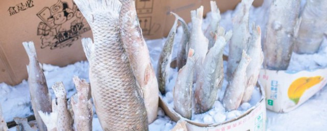 凍魚怎麼做鮮美 凍魚如何做出味道鮮美