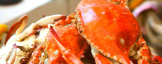 螃蟹不洗直接煮吃瞭會怎樣 吃螃蟹應該做什麼呢