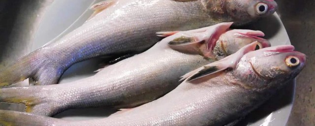 凍魚保存方法 怎樣保存冷凍魚