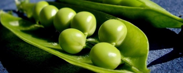 青豆保存方法 怎麼保存青豆