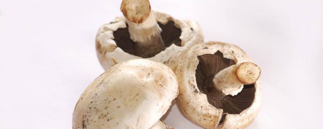 草菇的保存方法 草菇怎麼保存時間長