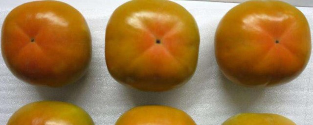 脆柿子怎麼催熟 脆柿子的催熟方法