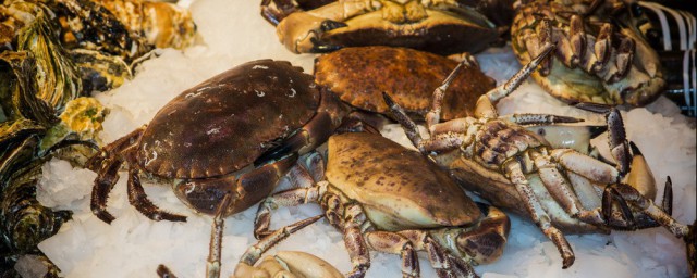 保存海蟹的方法 幾個很有用處的海螃蟹保鮮方法