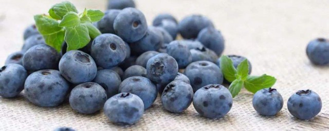 藍莓味飲品制作方法 藍莓味飲品怎麼制作