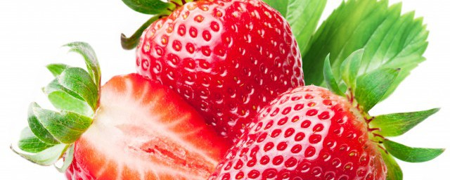 草莓快速育苗方法 草莓常見的3種育苗方法